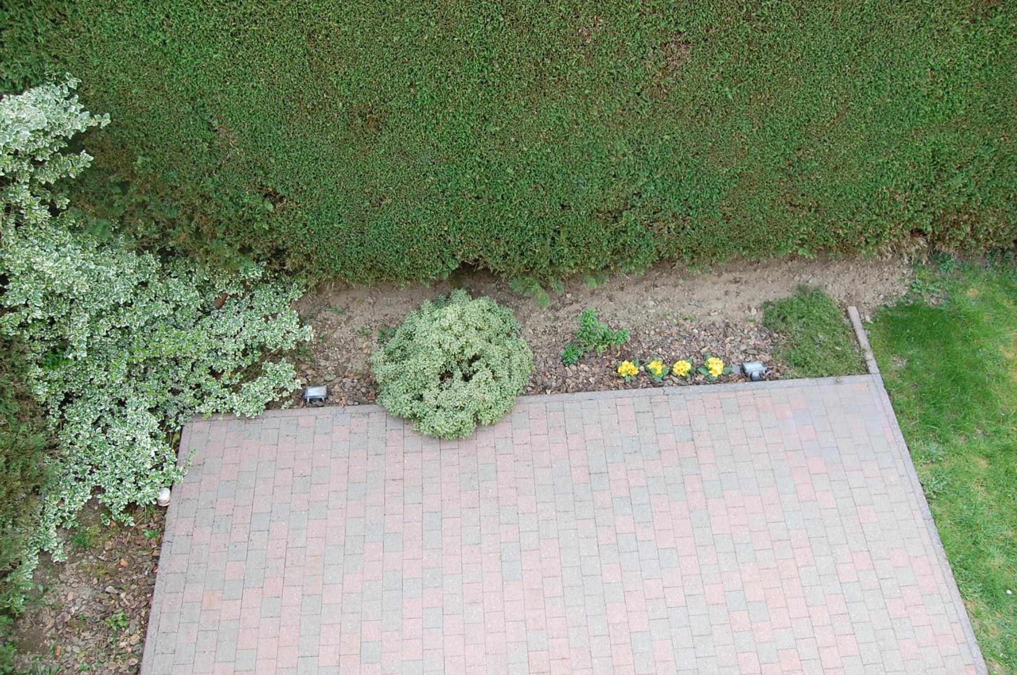 B&B Des Bois Sans Nombre Paliseul Esterno foto